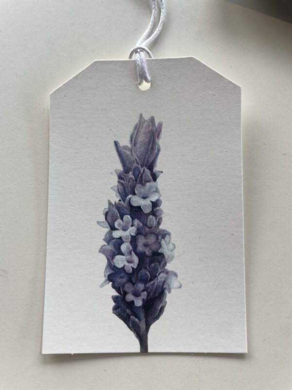 Gift Tag - Assorted - Image 12