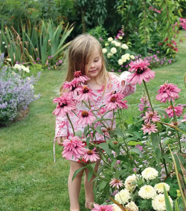 The Natural Garden - Image 2