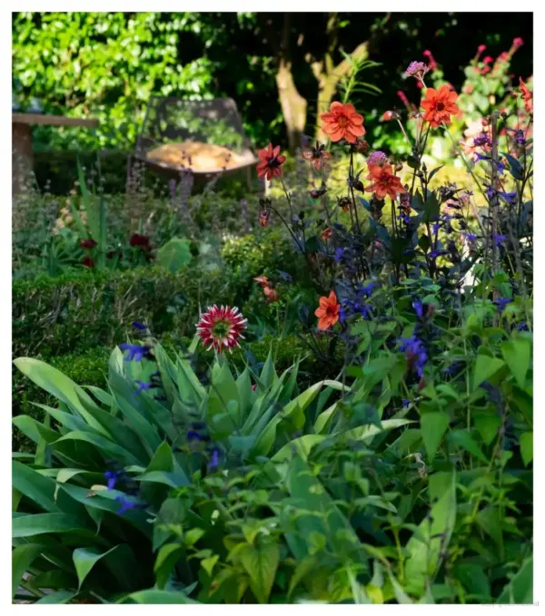 The Natural Garden - Image 3