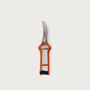 Pruning Shears