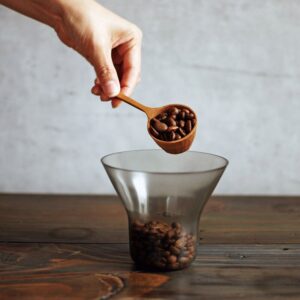 Coffee Measuring Spoon
